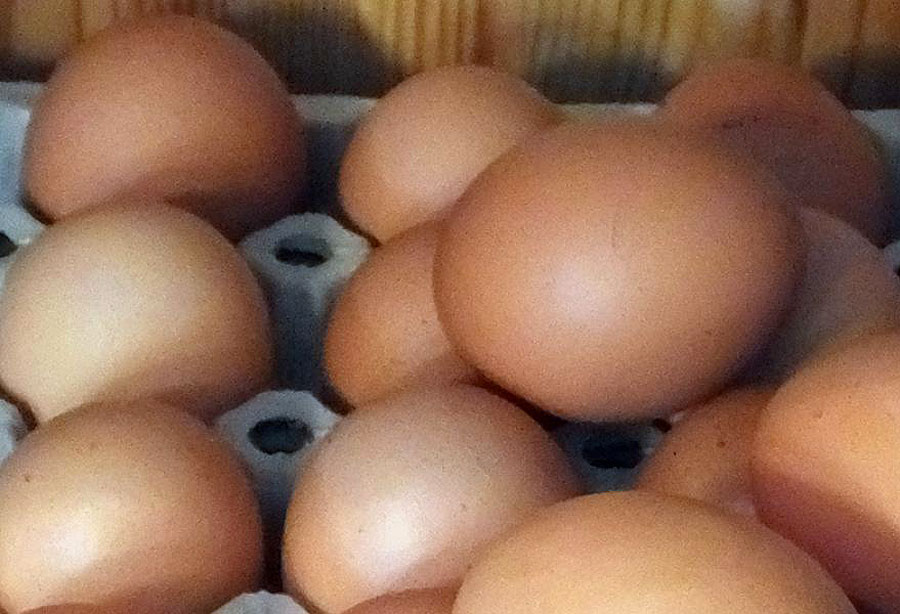 Eier vom Bauernherbstmarkt Rimsting